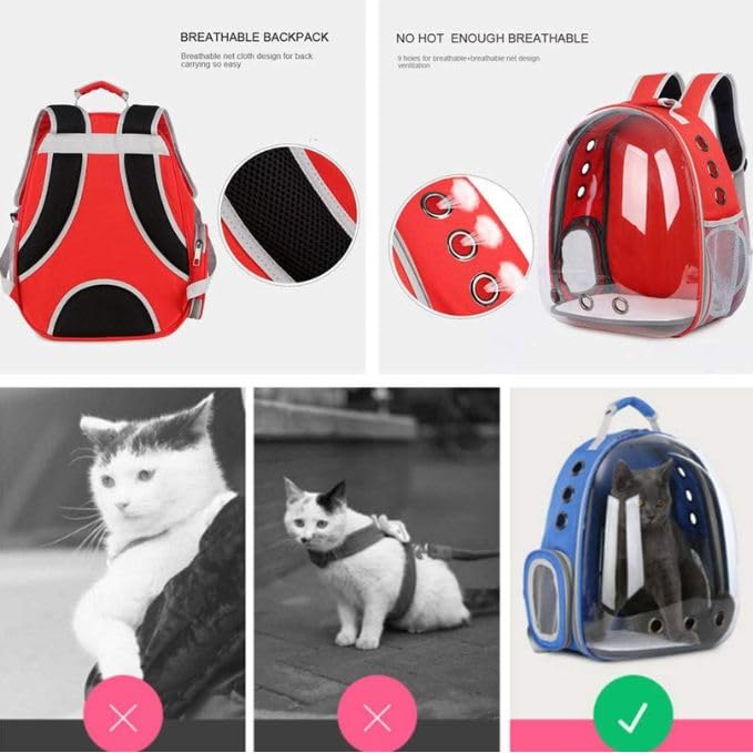 Pet Backpack | The Transparent Panoramic Multi-Ventilated Travel Carrier
