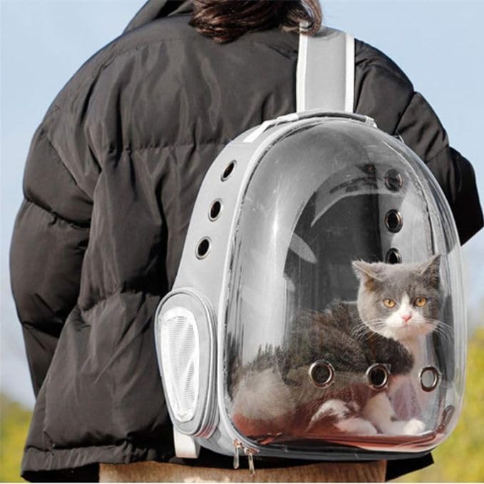 Pet Backpack | The Transparent Panoramic Multi-Ventilated Travel Carrier