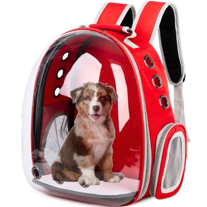 Pet Backpack | The Transparent Panoramic Multi-Ventilated Travel Carrier