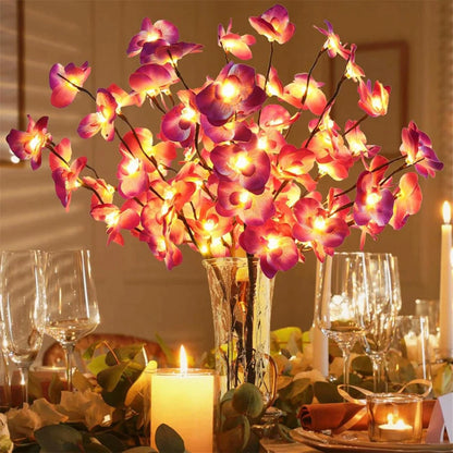 Lighted Branches | The Glow of the Great Outdoors