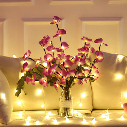 Lighted Branches | The Glow of the Great Outdoors