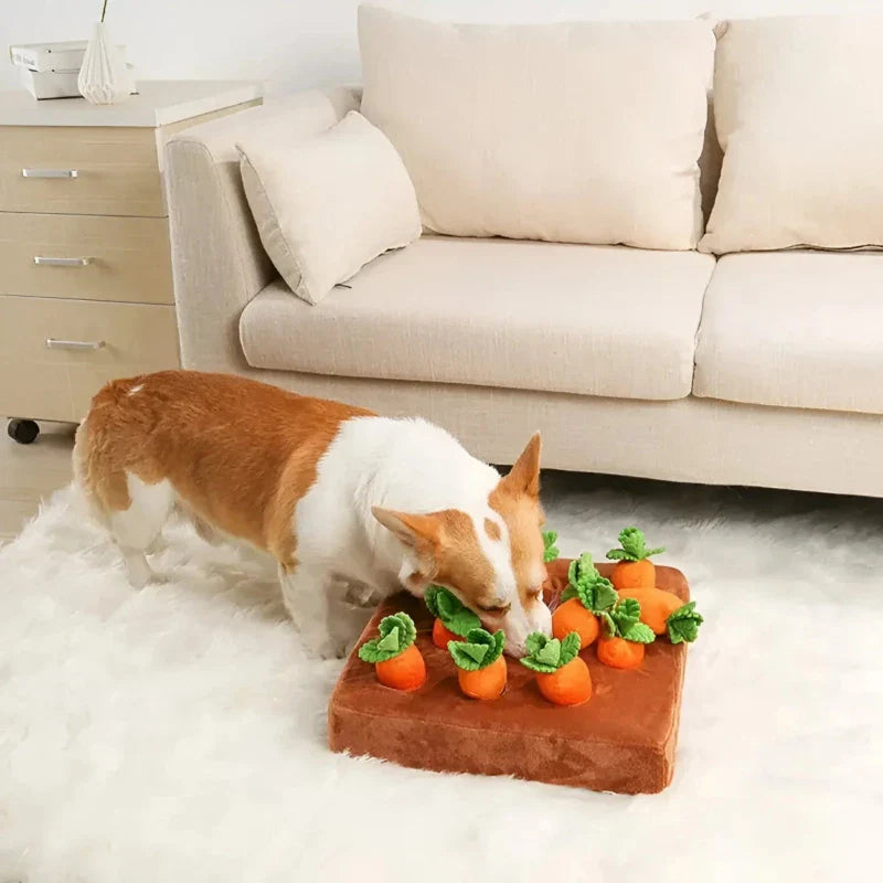 Bugs Bunny | The 12-Piece Interactive Plush Carrot Farm Toy